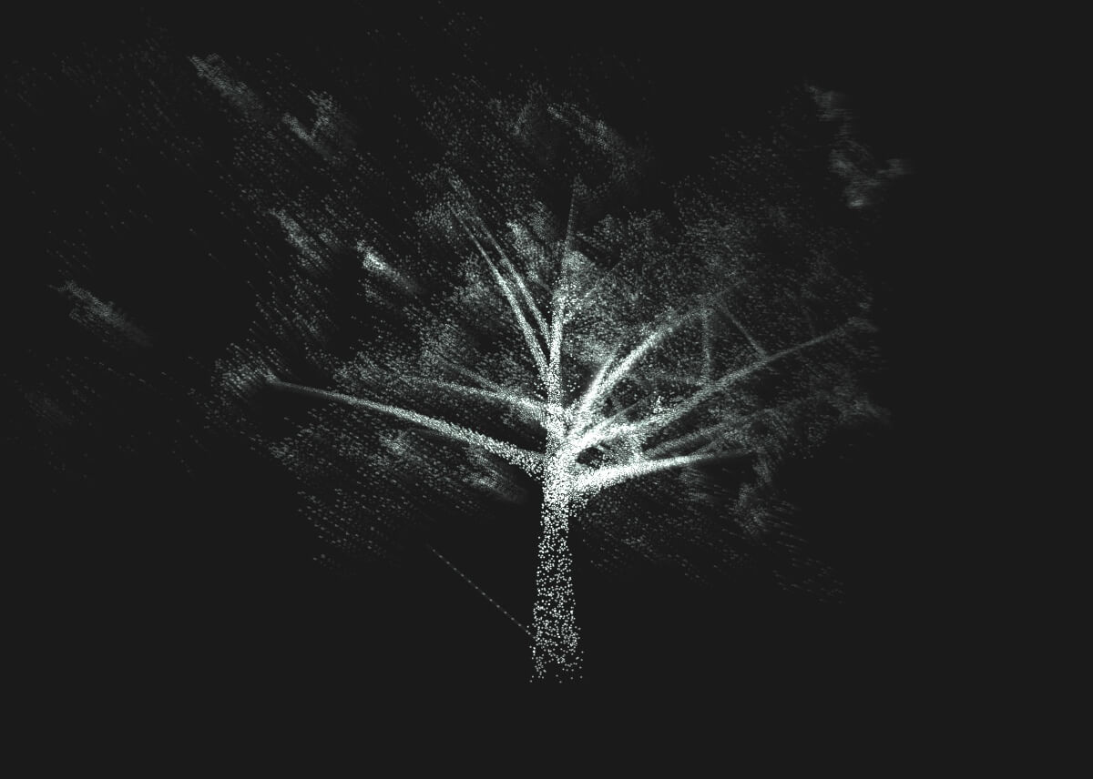 Tree-1@2x